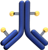 PADCEV ADC molecule
